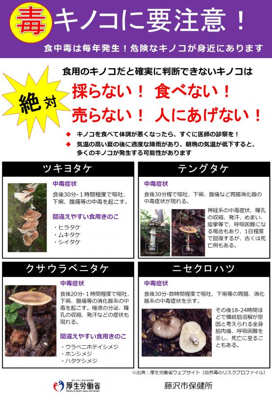 毒キノコに要注意１