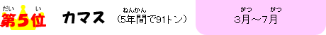 5ʁ@J}XiTNԂłXPgj@̂́cR`V