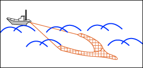 Dт