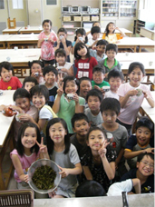 3年生(ねんせい)のお茶(ちゃ)づくり体験(たいけん)の様子