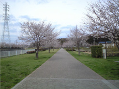 ne