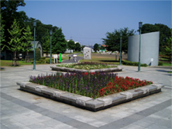 Ó