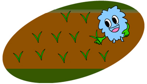 田植えをするまつぼっくりくん