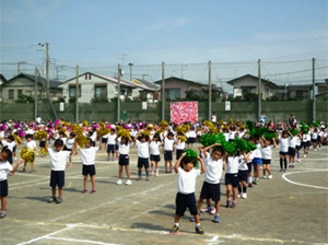 PN