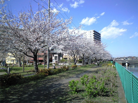 奥田公園・境川緑地