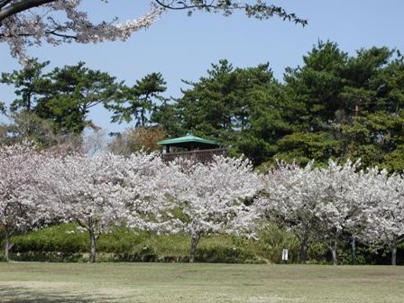 長久保公園
