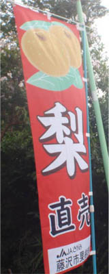 ナシのぼり
