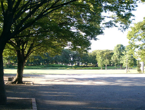 湘南台公園の芝生広場の写真です。