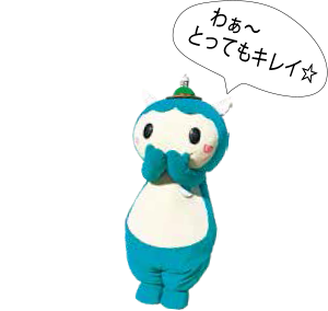 わぁ~ とってもキレイ☆