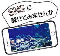 SNSに載せてみませんか