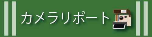 カメラリポート