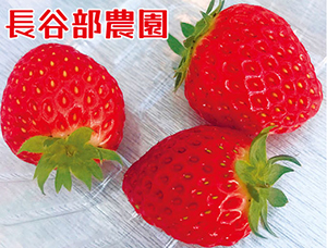 長谷部農園