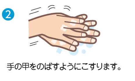  2　手の甲をのばすようにこすります。
