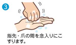 3　指先・爪の間を念入りにこすります。