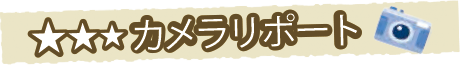 カメラリポート