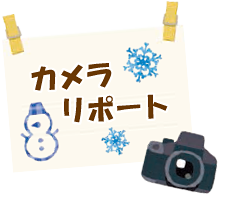 カメラリポート