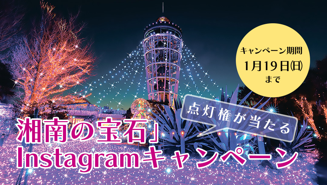 「湘南の宝石」Instagramキャンペーン 点灯権が当たる キャンペーン期間1月19日（日）まで