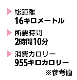 総距離16キロメートル所要時間2時間10分 消費カロリー955キロカロリー※参考値