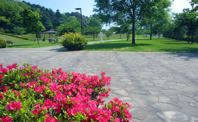 引地川親水公園