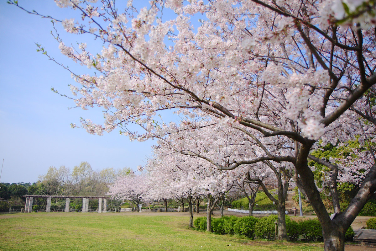 長久保公園(生物多様性センター)