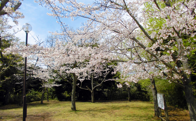 片瀬山公園